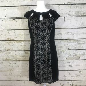 Enfocus Studio Black Lace Dress Size 14